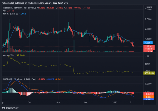 Algorand Price Prediction 2022-2030