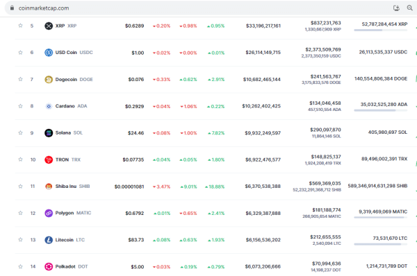 Shiba Inu &ldquo;SOON&rdquo; Tweet Skyrockets SHIB Market Cap Beyond $6B, Secures 11th Spot in Crypto Rankings