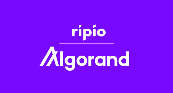 Algorand Unveils Ripio Partnership to Boost Presence in Latin America, Can ALGO Price Recover? Algorand Unveils Ripio Partnership to Boost Presence in Latin America, Can ALGO Price Recover?