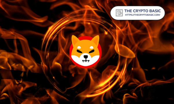 Understanding Shib Burn: Sending SHIB to Official Shiba Inu Contract Leads to Permanent Loss Understanding Shib Burn: Sending SHIB to Official Shiba Inu Contract Leads to Permanent Loss
