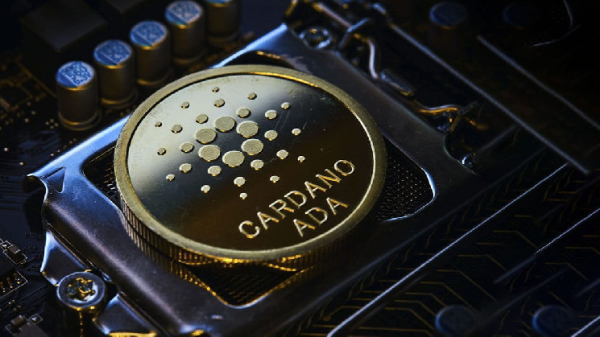Cardano (ADA) Products Welcome New Comprehensive Updates