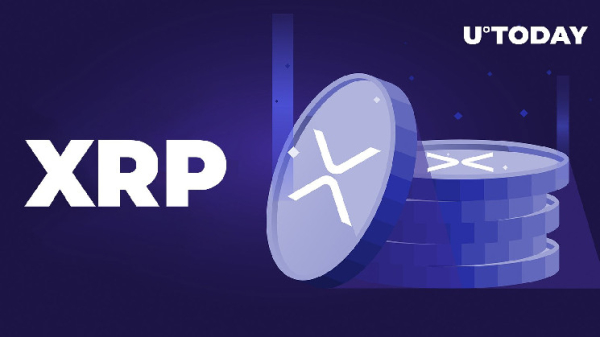XRP Airdrop Snapshot Completed, Here's What's Next for Holders
