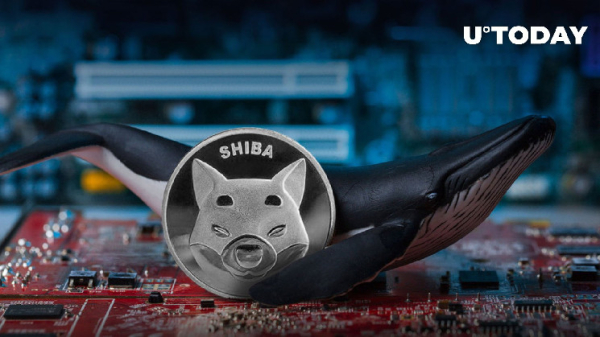 Whopping Billions of SHIB Leave Binance as New Shiba Inu Whales Emerge