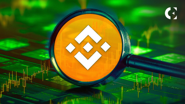 BNB Was $0.15?! Binance History Explored in New BitBoy Crypto Video