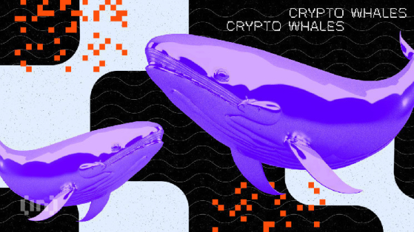 Whales Bet Big on Ripple, Accumulate 360 Million XRP Whales Bet Big on Ripple, Accumulate 360 Million XRP