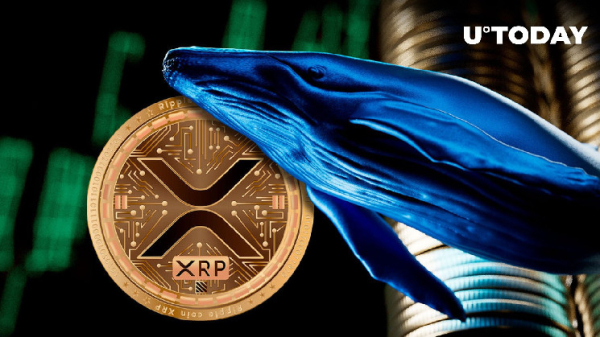XRP Whales Go on Major Accumulation Spree, Price Revival Incoming? XRP Whales Go on Major Accumulation Spree, Price Revival Incoming?