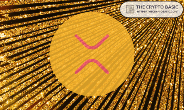 Here’s Why Wall Street Institutions May File XRP Spot ETF Here’s Why Wall Street Institutions May File XRP Spot ETF