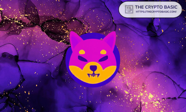 Shiba Inu Announces Shibarium Christmas Giveaway Party