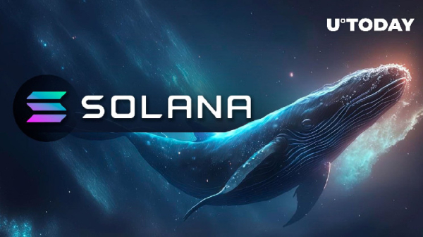 Massive Solana (SOL) Whale Movements Amid 80% Monthly Price Upswing
