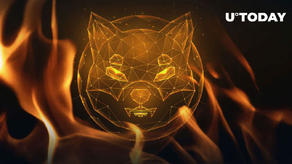 Shiba Inu (SHIB) Burn Rate Skyrockets 800% in 24 Hours Amid Major Whale Activity Shiba Inu (SHIB) Burn Rate Skyrockets 800% in 24 Hours Amid Major Whale Activity