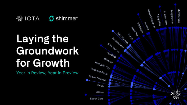 IOTA and Shimmer: Laying the Groundwork for Growth