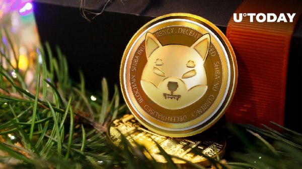 Shiba Inu: Important Christmas Giveaway Teased by SHIB Team