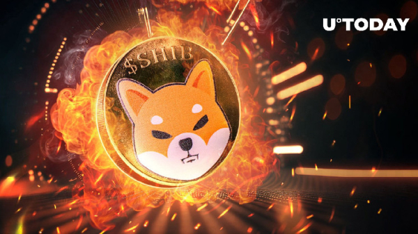 Shiba Inu Burns Billions: SHIB Burn Rate Skyrockets by 727,870%