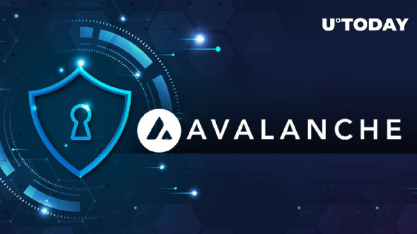 Avalanche (AVAX) Achieves Network Transaction ATH: Driving Forces Behind It