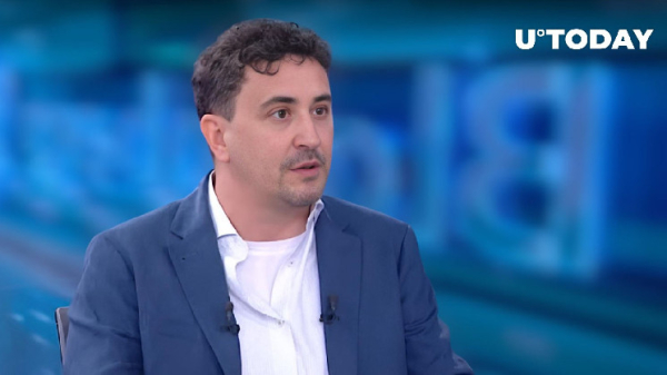 Avalanche (AVAX) Co-Founder Speaks in Favor of Meme Coins