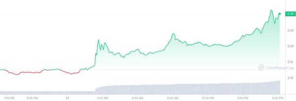 Hottest Solana Meme Coin Dogwifhat Achieves Bybit Listing: WIF Price up 100%