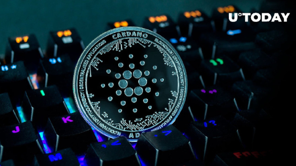 What's Going On With Cardano (ADA)? This Latest Report Says Lot