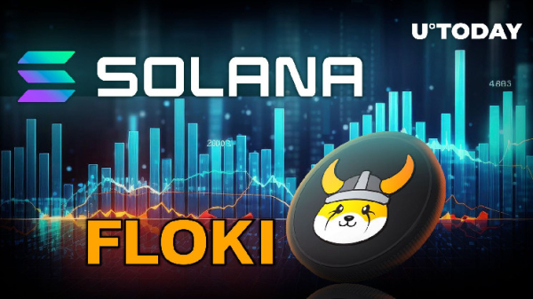 New Solana Meme Coin Upstart Surpasses Floki