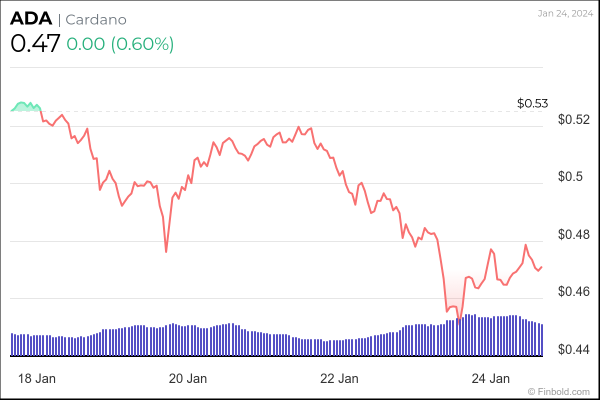 Cardano smart contracts skyrocket by almost 10,000 in 2024 Cardano smart contracts skyrocket by almost 10,000 in 2024