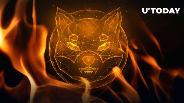 Shiba Inu (SHIB) Burn Rate Jumps 459%, Watch What Happens Next