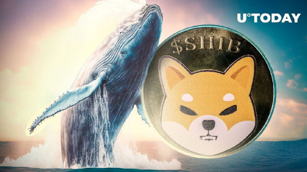 SHIB Whale Alert: Massive 9.6 Trillion Shiba Inu Tokens Bought in 48 Hours SHIB Whale Alert: Massive 9.6 Trillion Shiba Inu Tokens Bought in 48 Hours