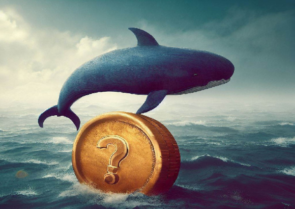 Two Big Whales Buy Huge Purchases of 6 Different Altcoins on Binance and Gateio Two Big Whales Buy Huge Purchases of 6 Different Altcoins on Binance and Gateio