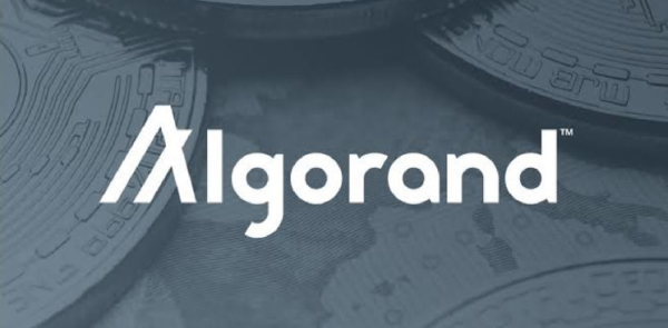 Algorand&rsquo;s Future: Innovation and Incentives in the Blockchain Network by 2024