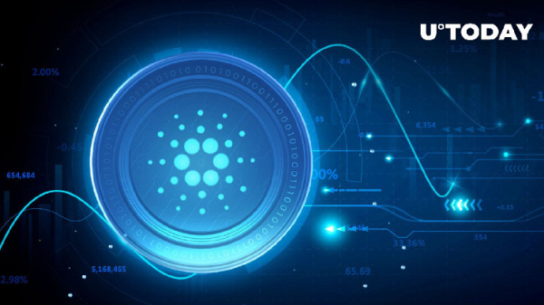 Cardano Sees Massive 27 Billion ADA Whale Transactions Amid Price Drop