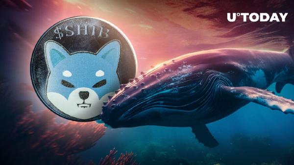 Shiba Inu Whales Disappear Amid This SHIB Price Behavior