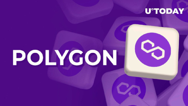 Polygon Makes Major Move to Expand Its Developer Community
