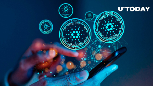 Cardano Foundation Shares Key Adoption Milestones Cardano Foundation Shares Key Adoption Milestones