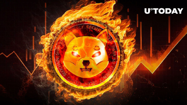 Shiba Inu (SHIB) Burn Rate Jumps 282%, But Don't Celebrate Yet Shiba Inu (SHIB) Burn Rate Jumps 282%, But Don't Celebrate Yet
