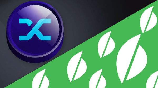 Bluechip Gives Synthetix and Beanstalk Stablecoins F Grades; Tokens Added to the ‘Red Flag List’